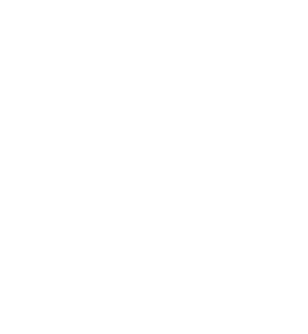 liberty cargo